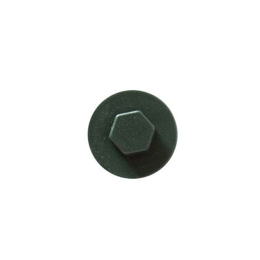 Juniper Green colour-matched 19mm roofing screw cap, Ireland