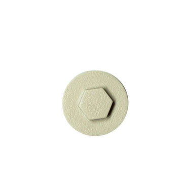 Mushroom colour-matched 19mm roofing screw cap, Ireland